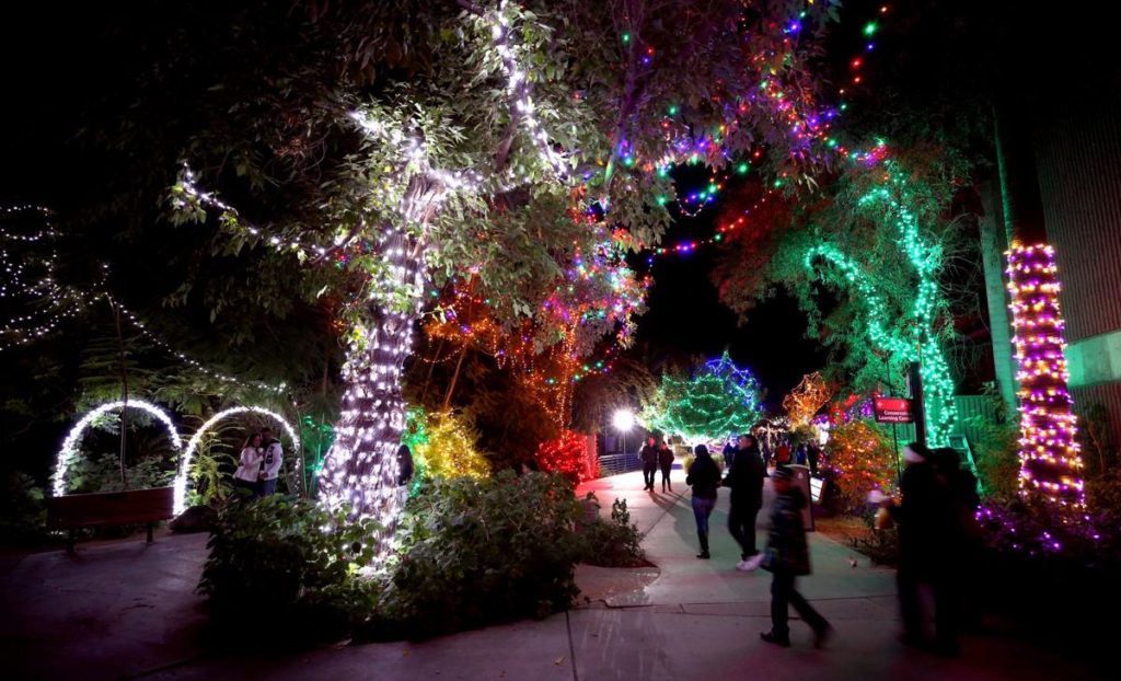 The Best of Tucson 10 Things To Do in December [Holiday Edition