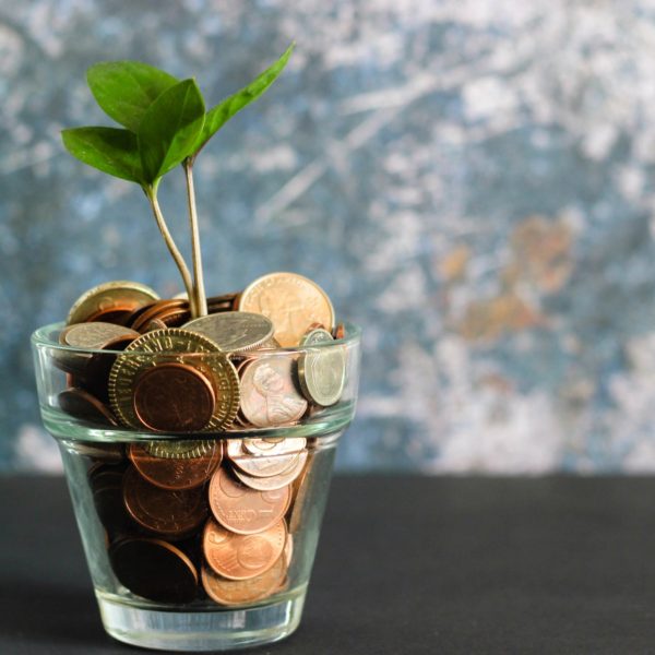 small plant tree in a glass pot full of coins money