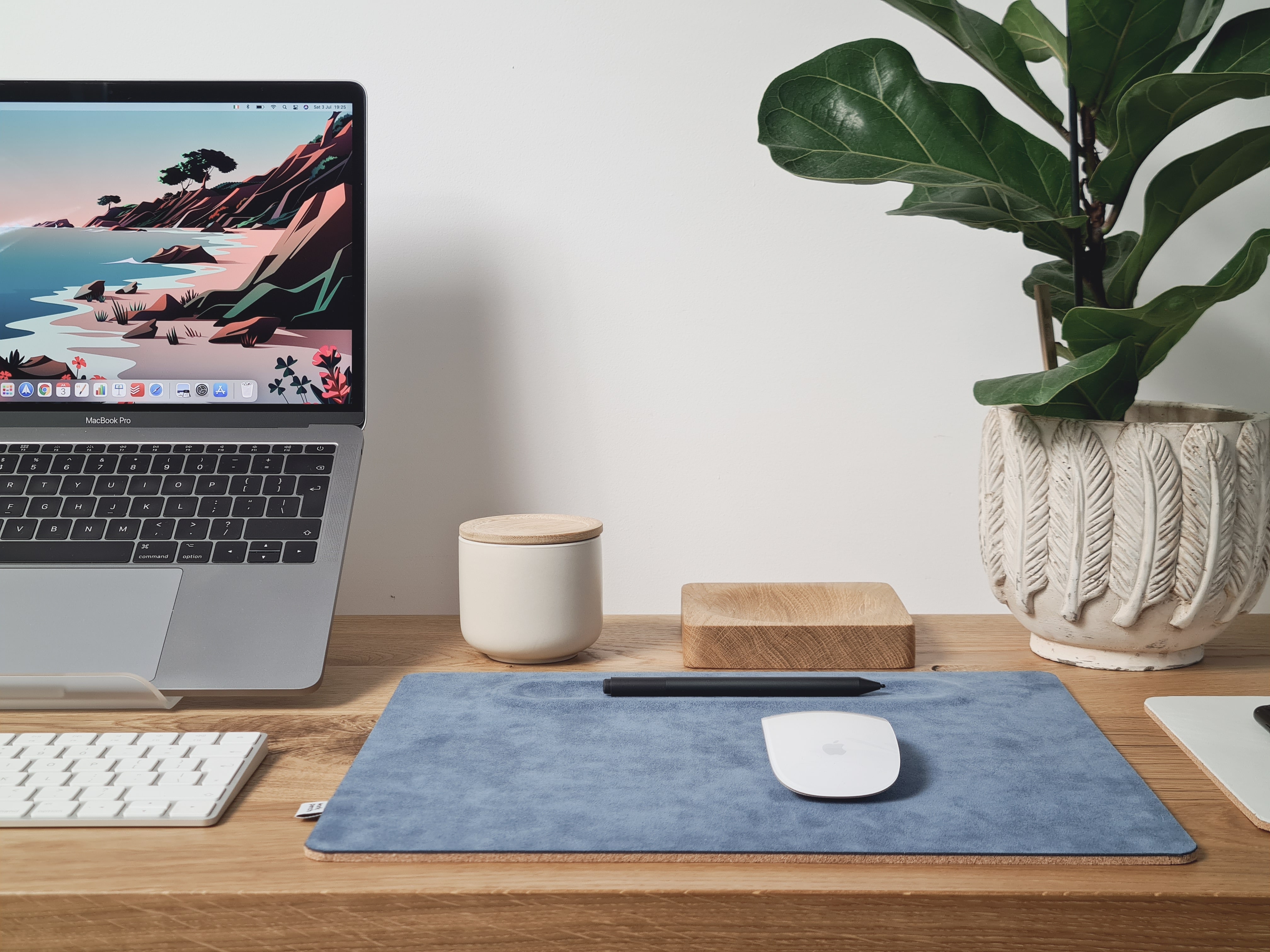 clean modern stylish desk with laptop, white mouse, and potted plant