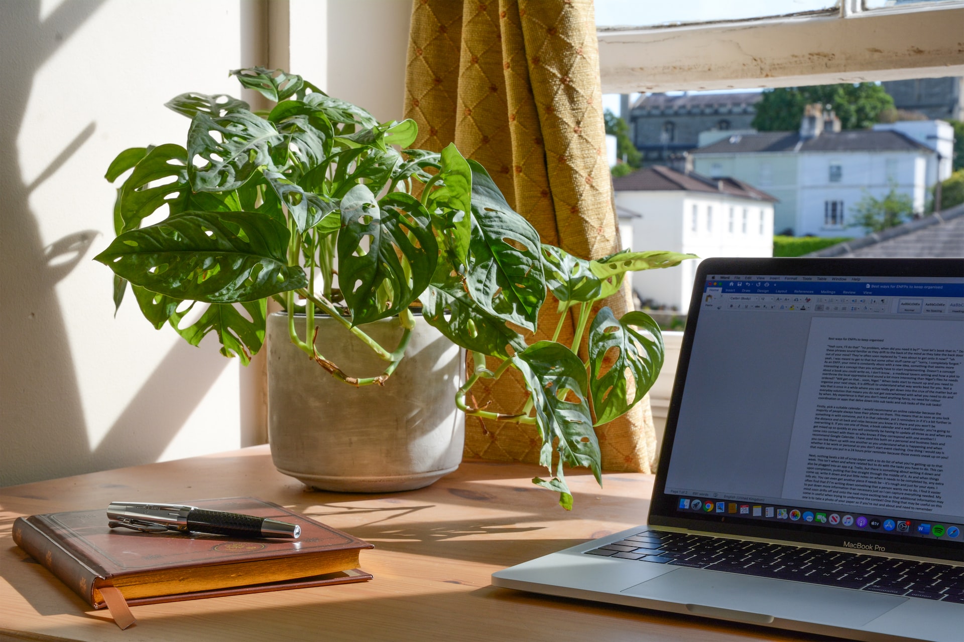Potted plant next to a laptop on top of a desk.