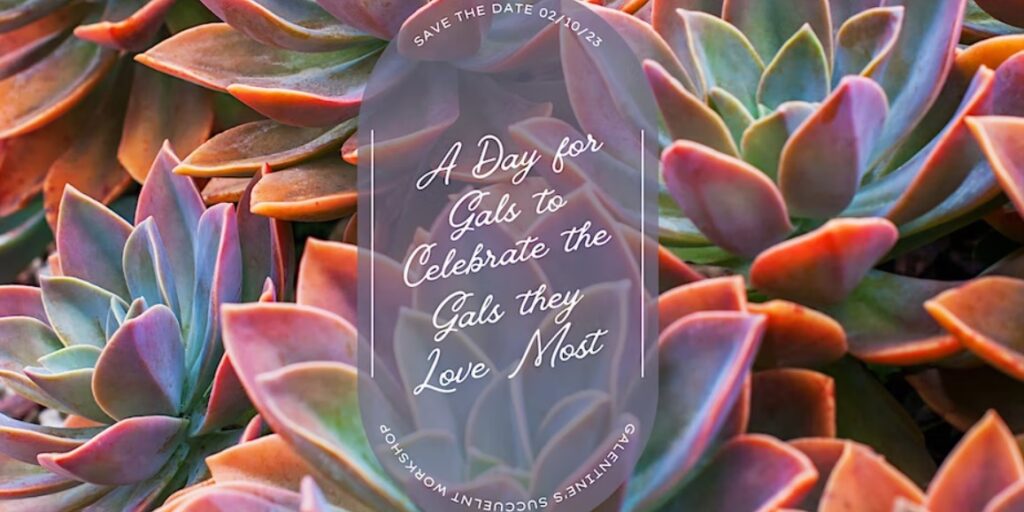 A graphic for the Galentines succulent workshop