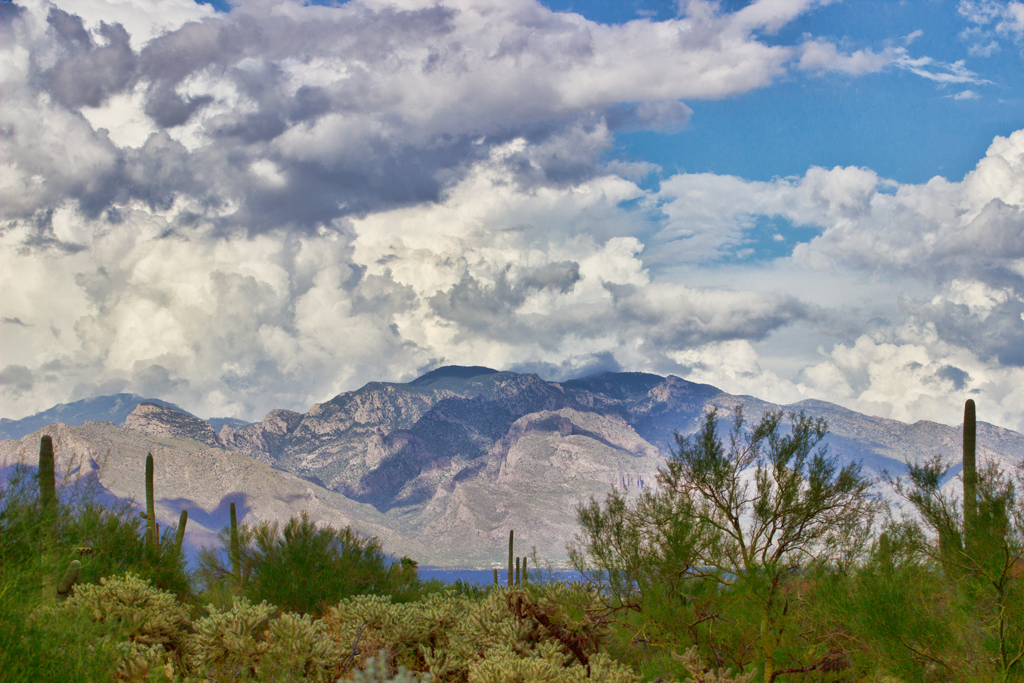 Mount Lemmon, Tucson