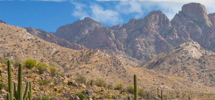 View of mountains with cactus plants in the foreground